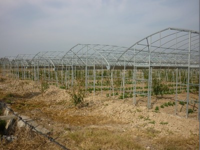 源農溫室 專業(yè)溫室大棚銷售、安裝與維修服務