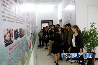 駐馬店市首個國家級'星創(chuàng)天地'在上蔡縣揭牌，助力農業(yè)信息咨詢與創(chuàng)新發(fā)展