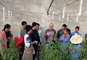 現(xiàn)代農業(yè)信息化與農業(yè)信息咨詢的協(xié)同發(fā)展